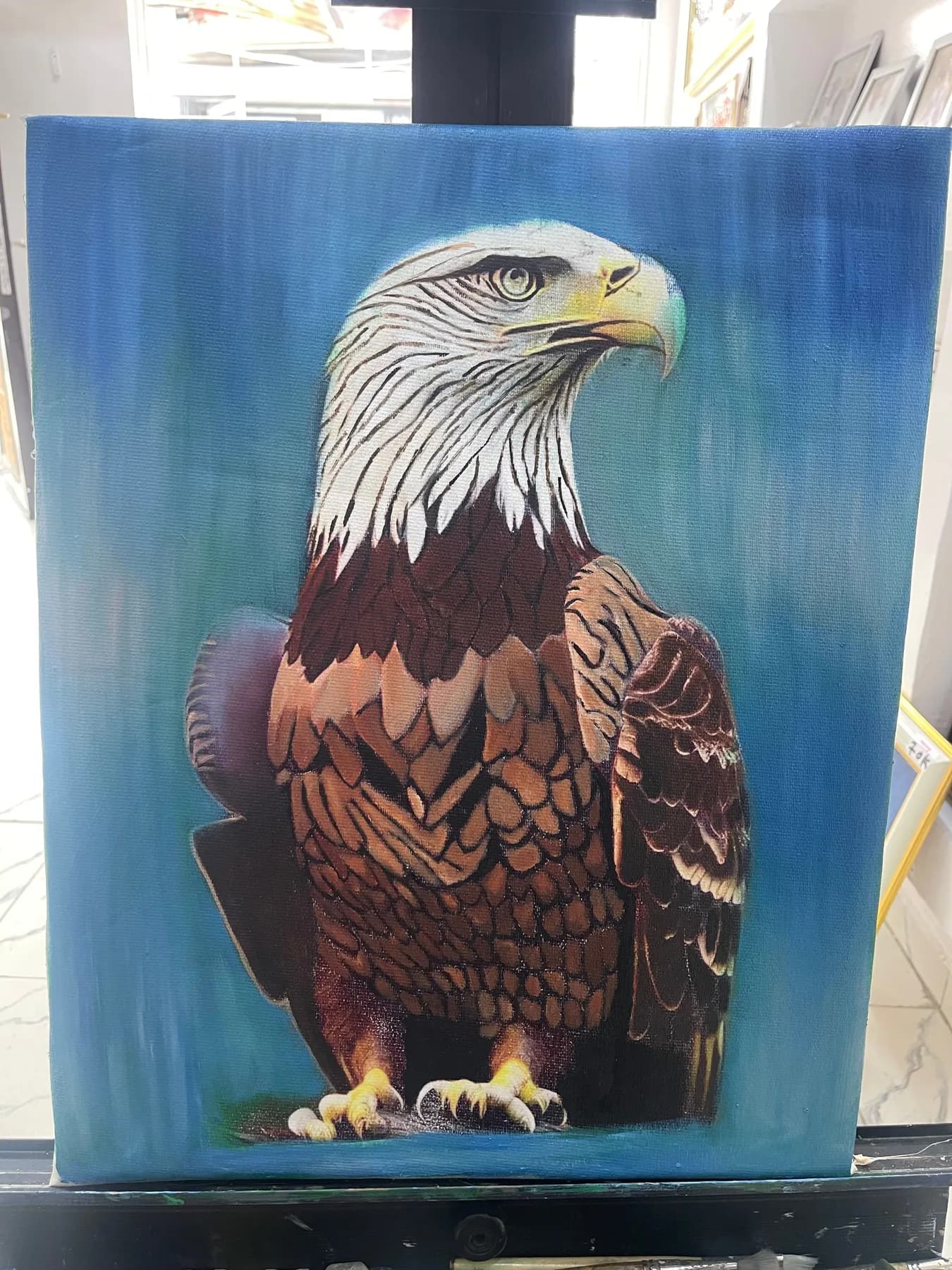 Bald eagle painting by Debby Art & Prints